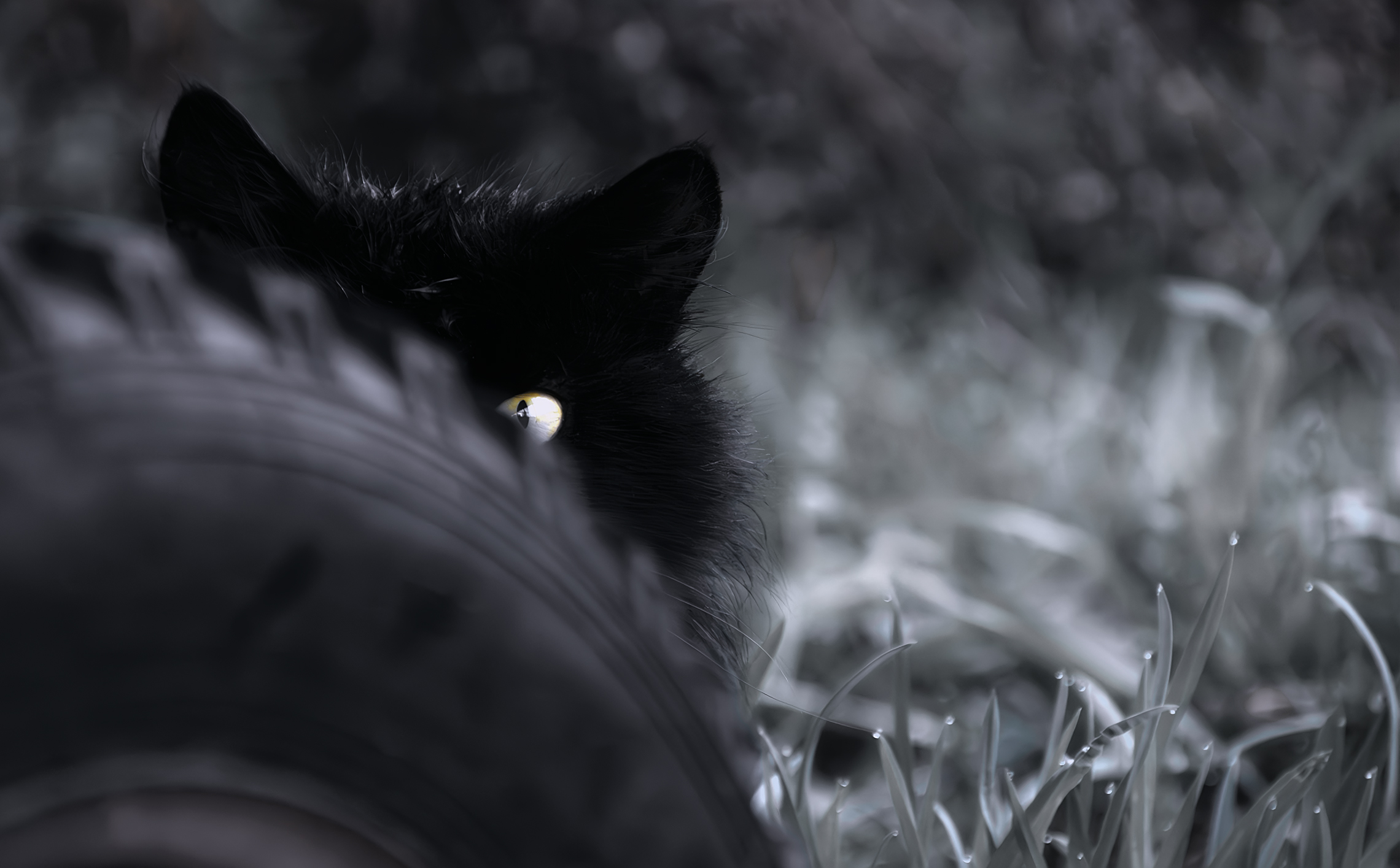 Просто смотреть 