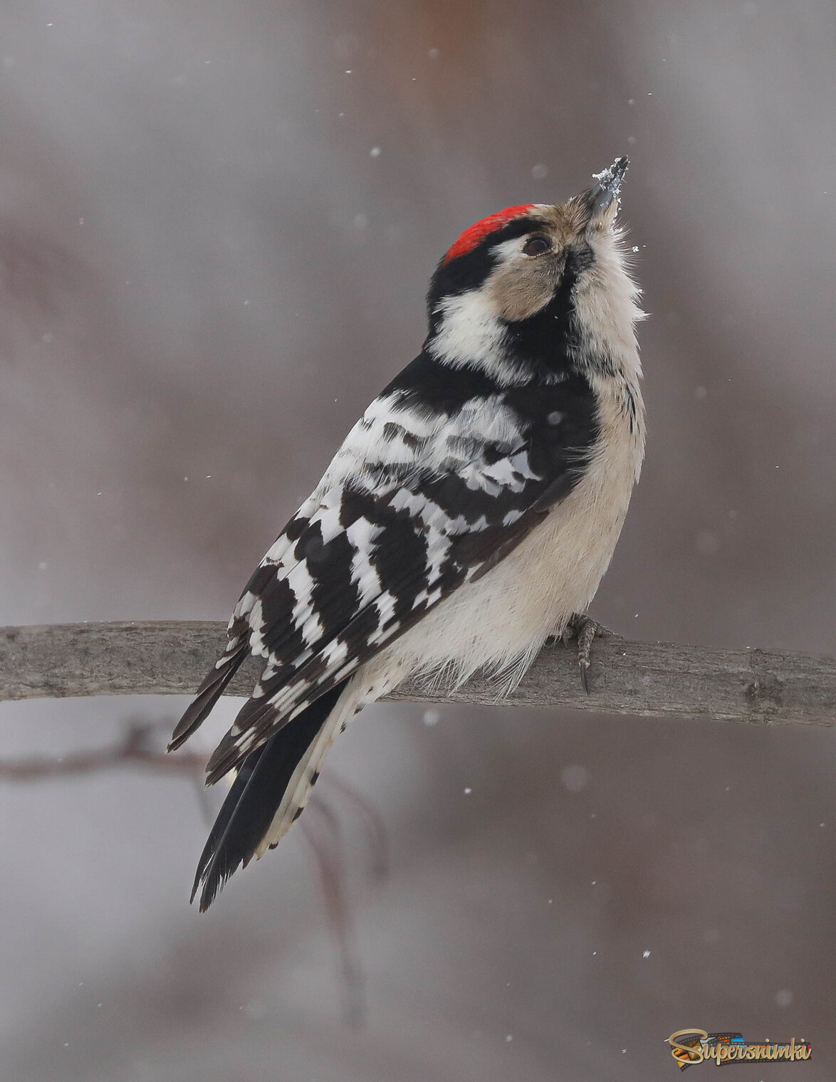 Медитация на снег