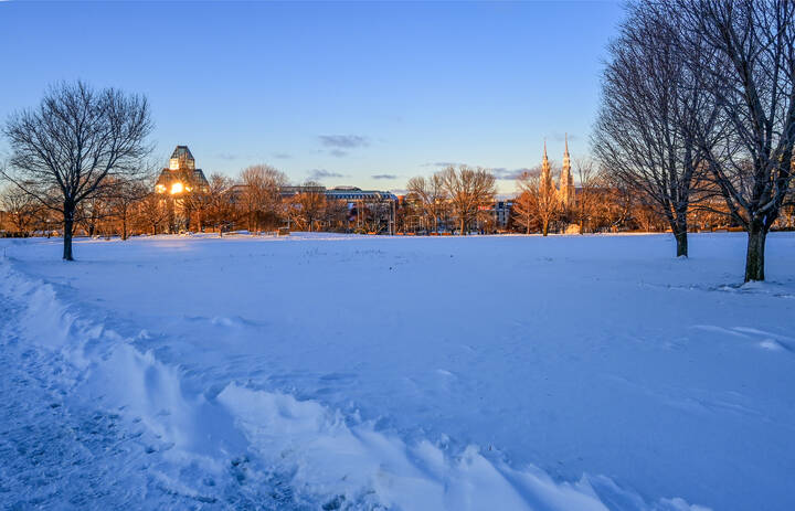 В Парке "Холм Майора"
