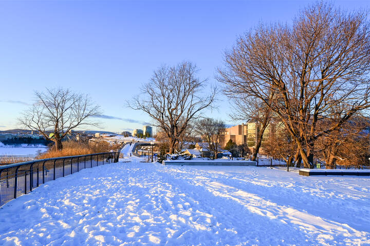 В Парке "Холм Майора"