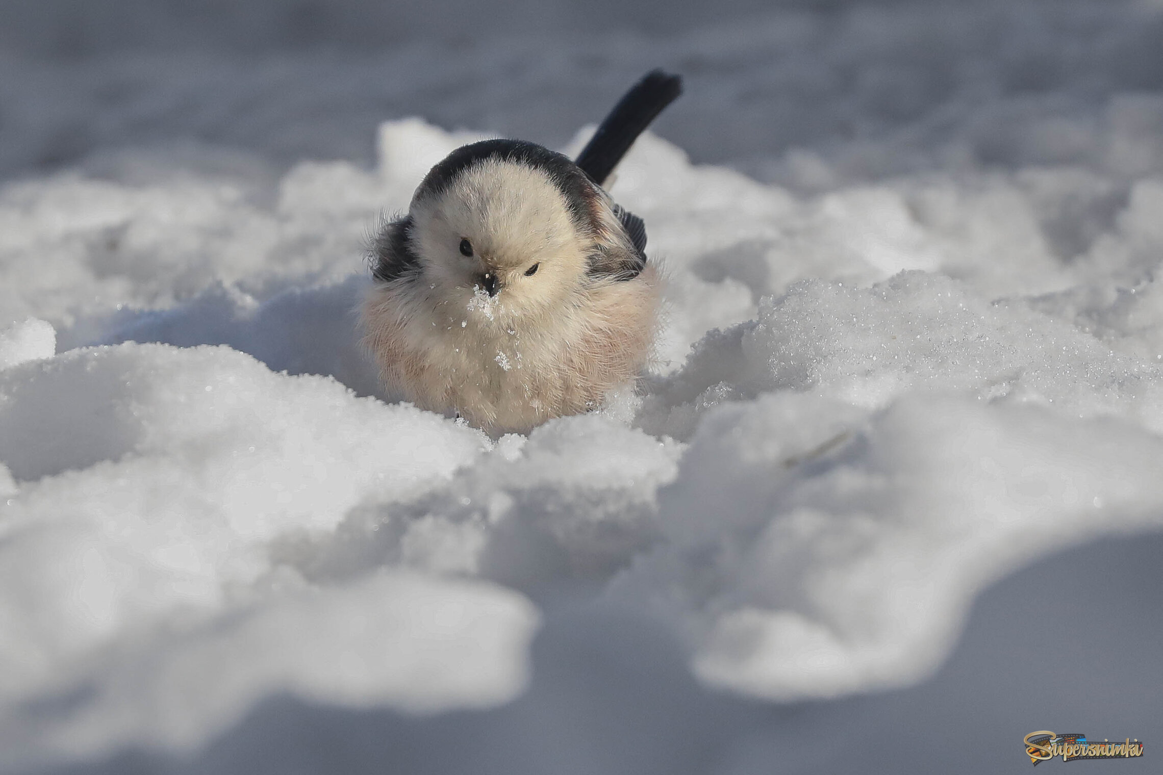 Это что такое?!