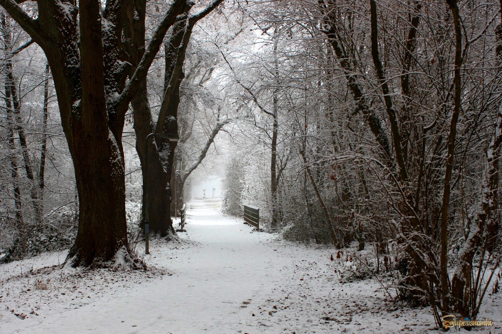 	 В заснеженность