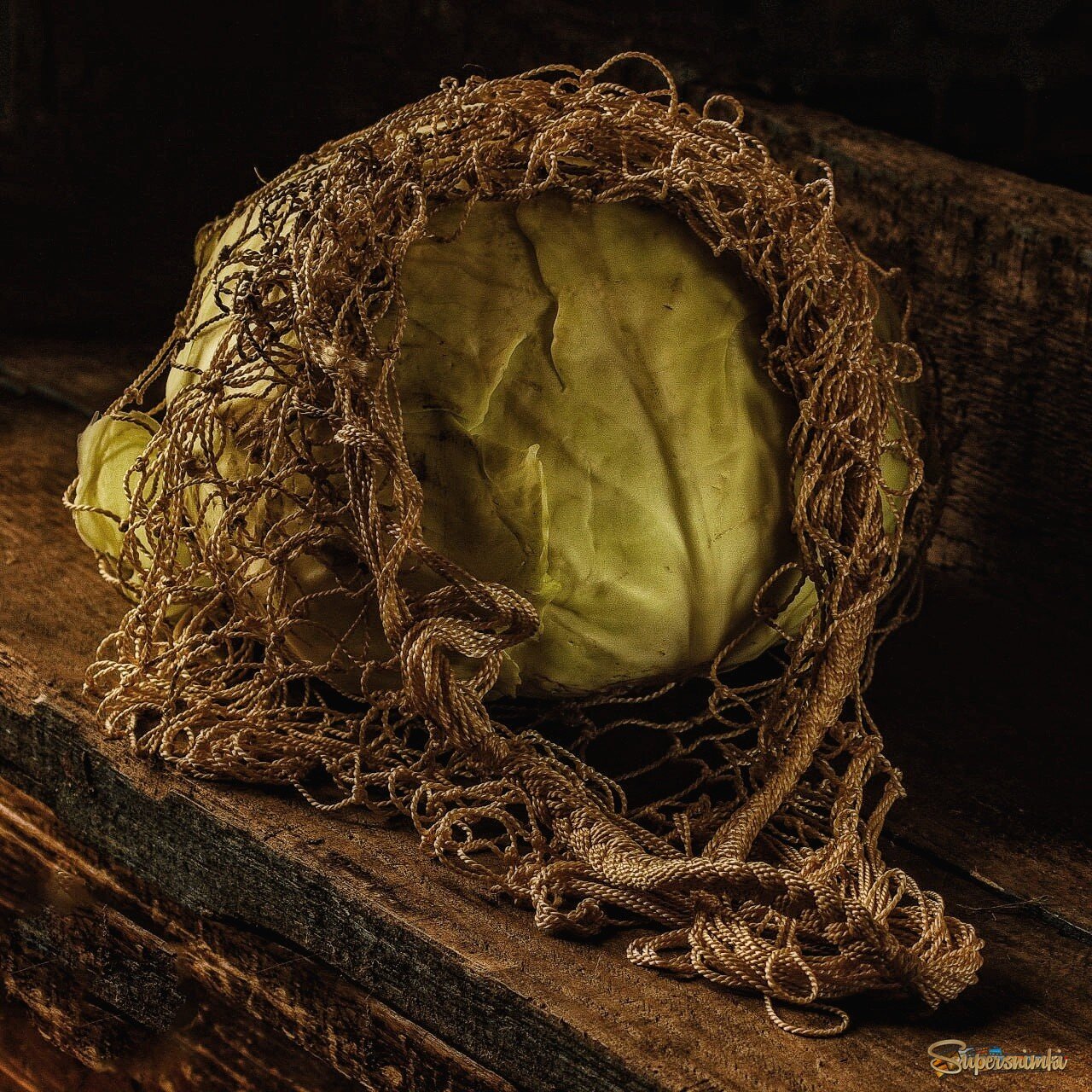 Пойманная в сеть