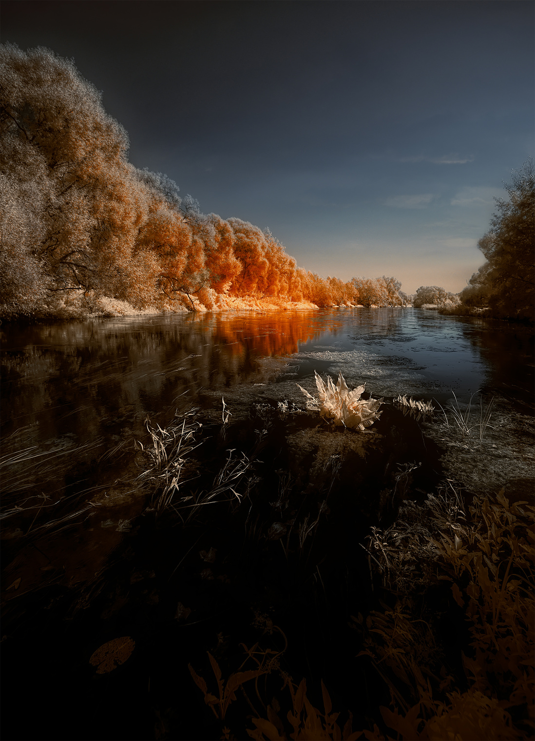 Осеннее плавание