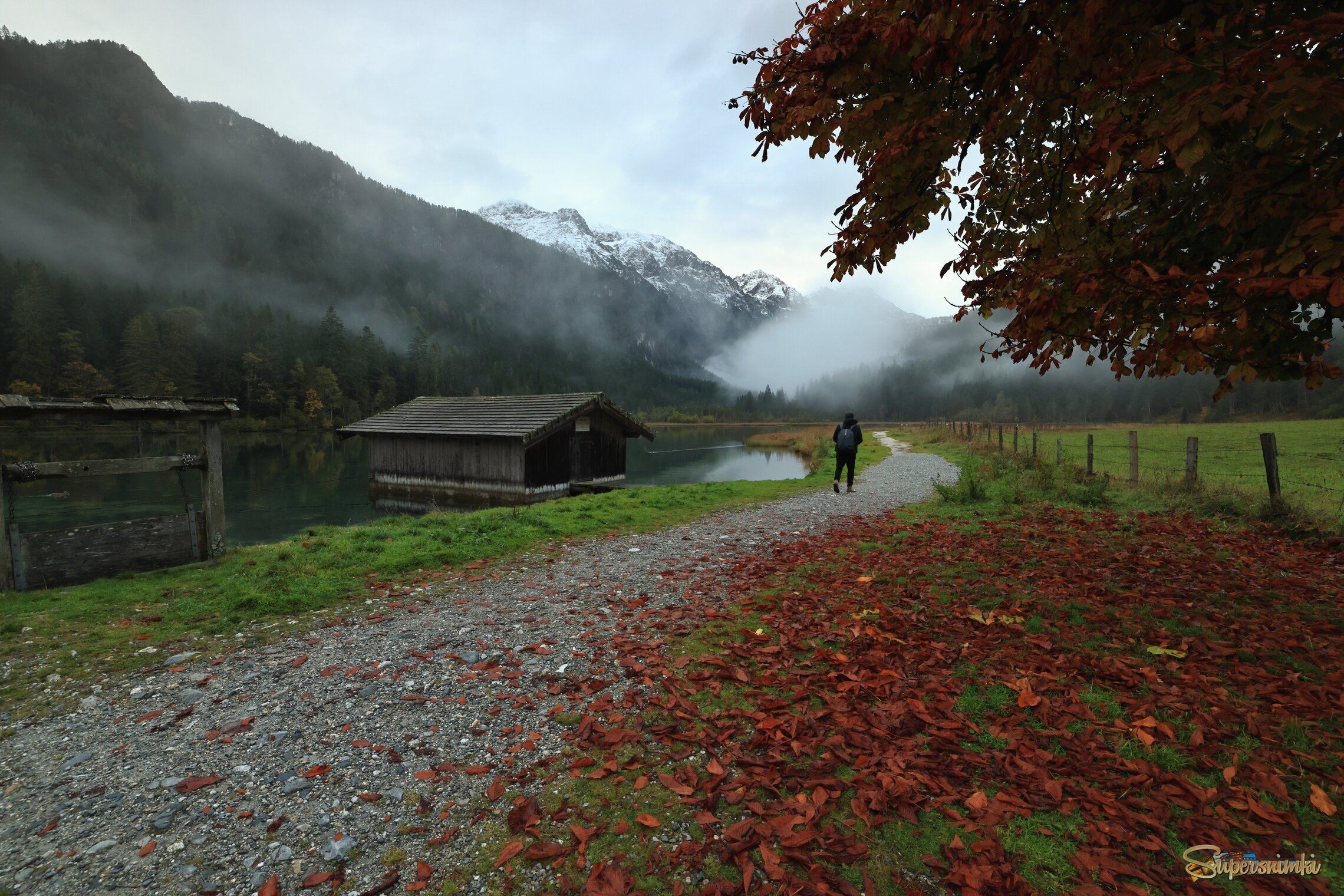 6987a8b010190935c545ab5f