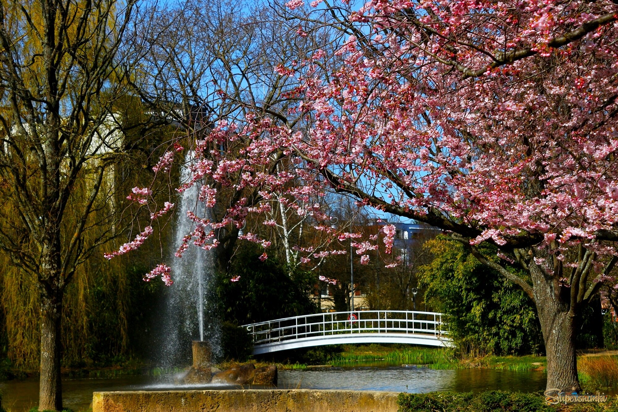 Весна в Баден-Бадене