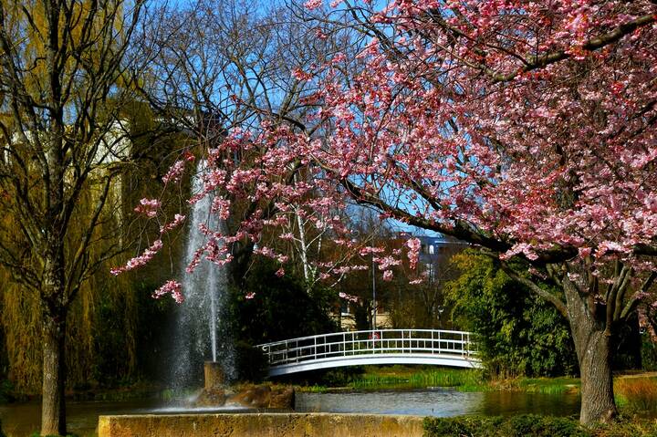 Весна в Баден-Бадене