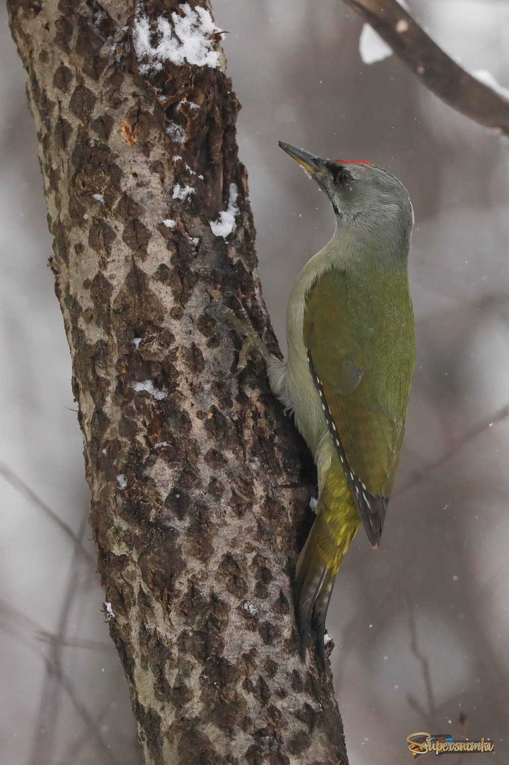 На старом месте