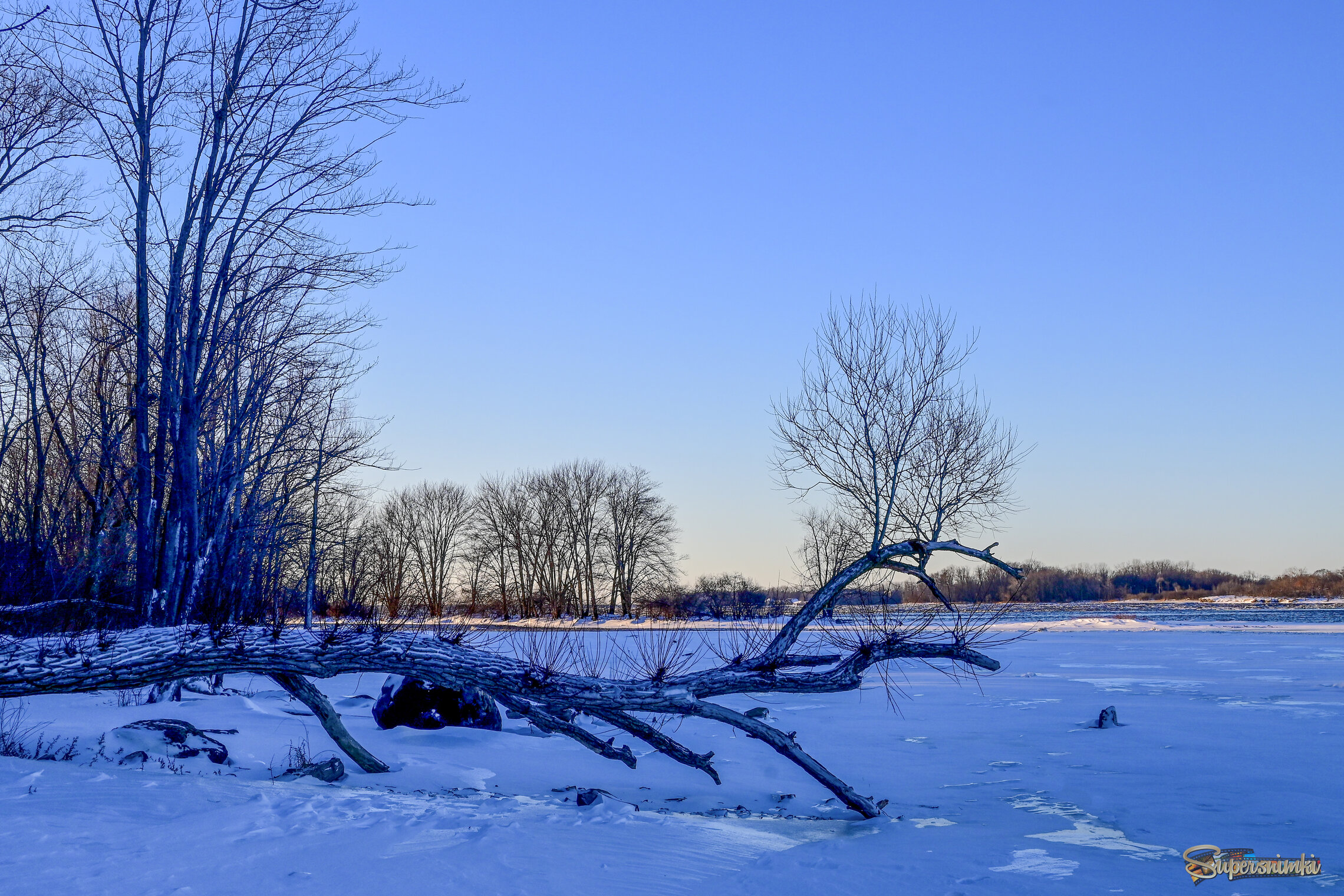 Ледяные просторы