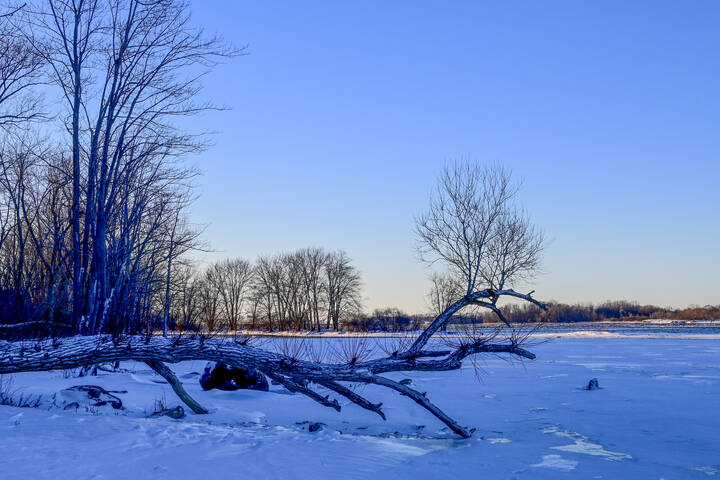 Ледяные просторы