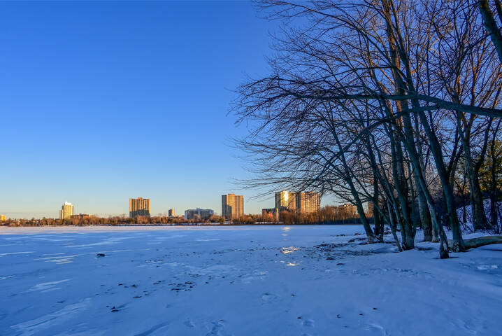 Ледяные просторы