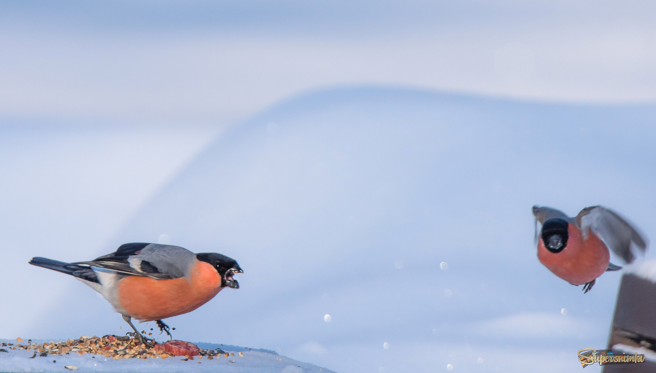 "Это всё моё!!!"