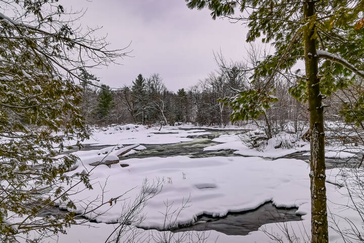 Неугомонная