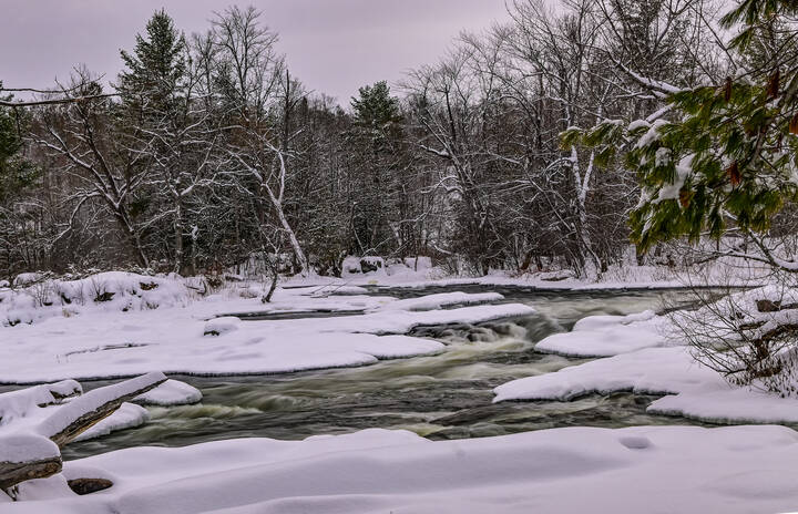 Неугомонная