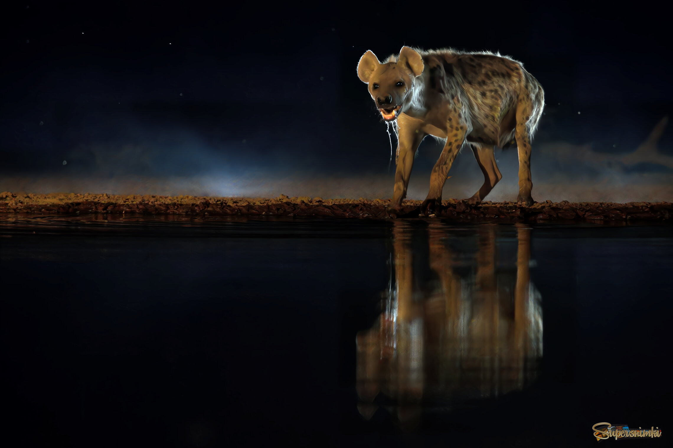 Тварь я дрожащая, или право имею...