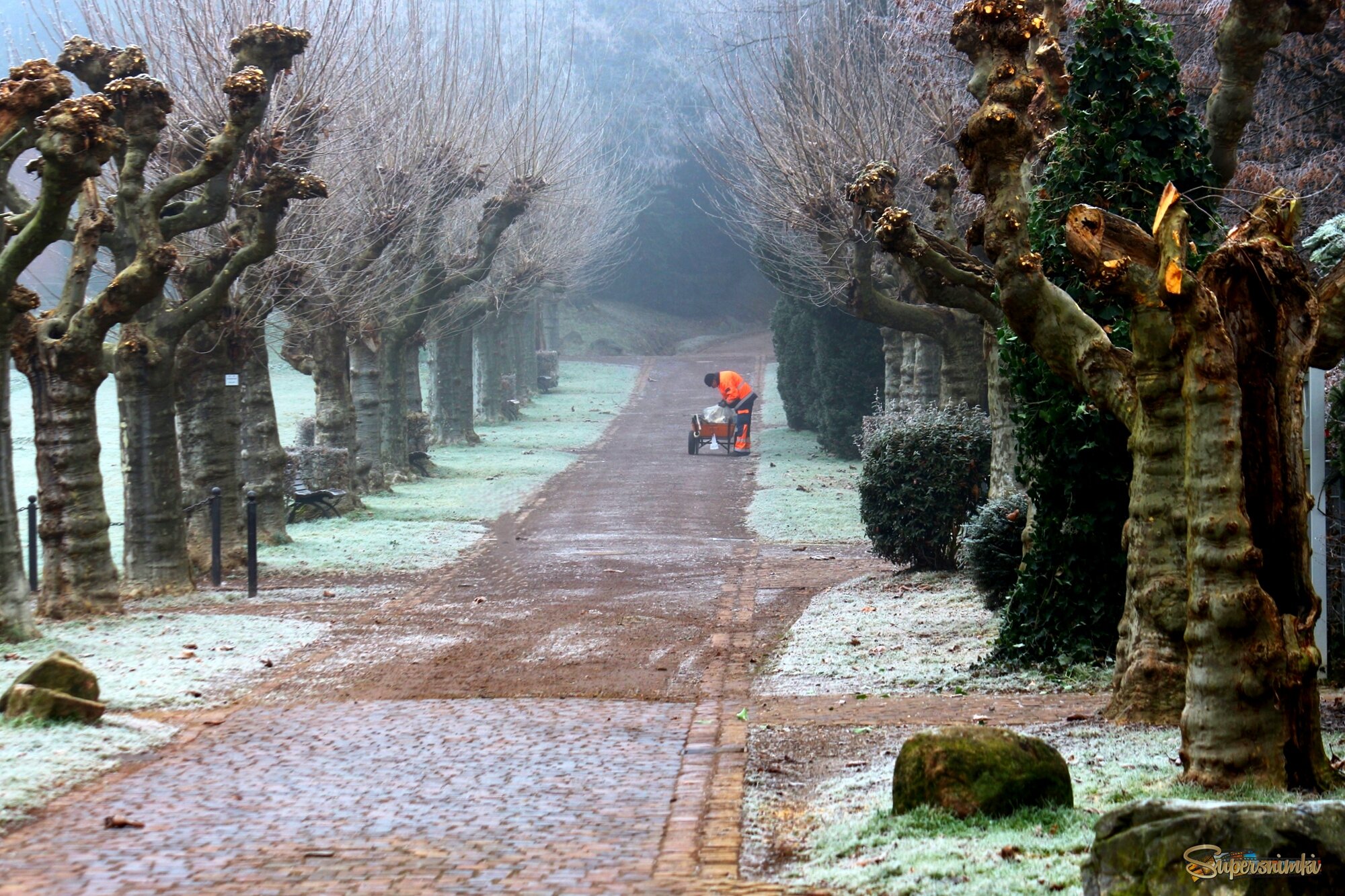 – Встал поутру, умылся, привел себя в порядок – и сразу же приведи в порядок свою планету.