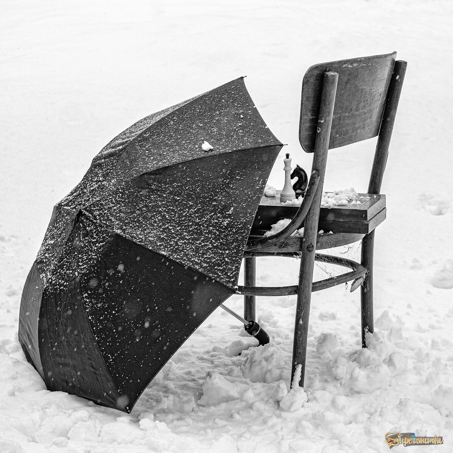 Зимний гамбит