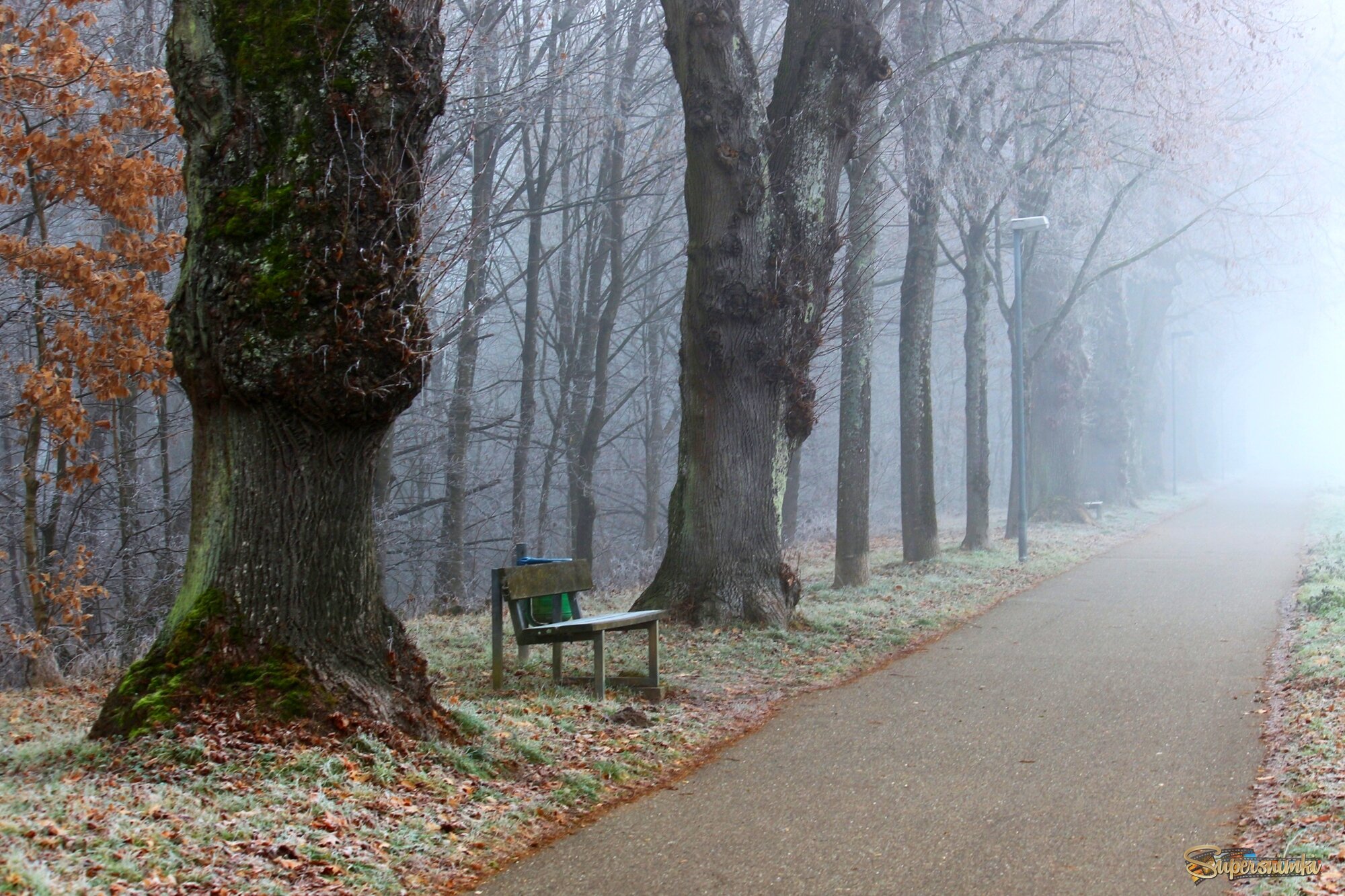 Туманное утро декабря