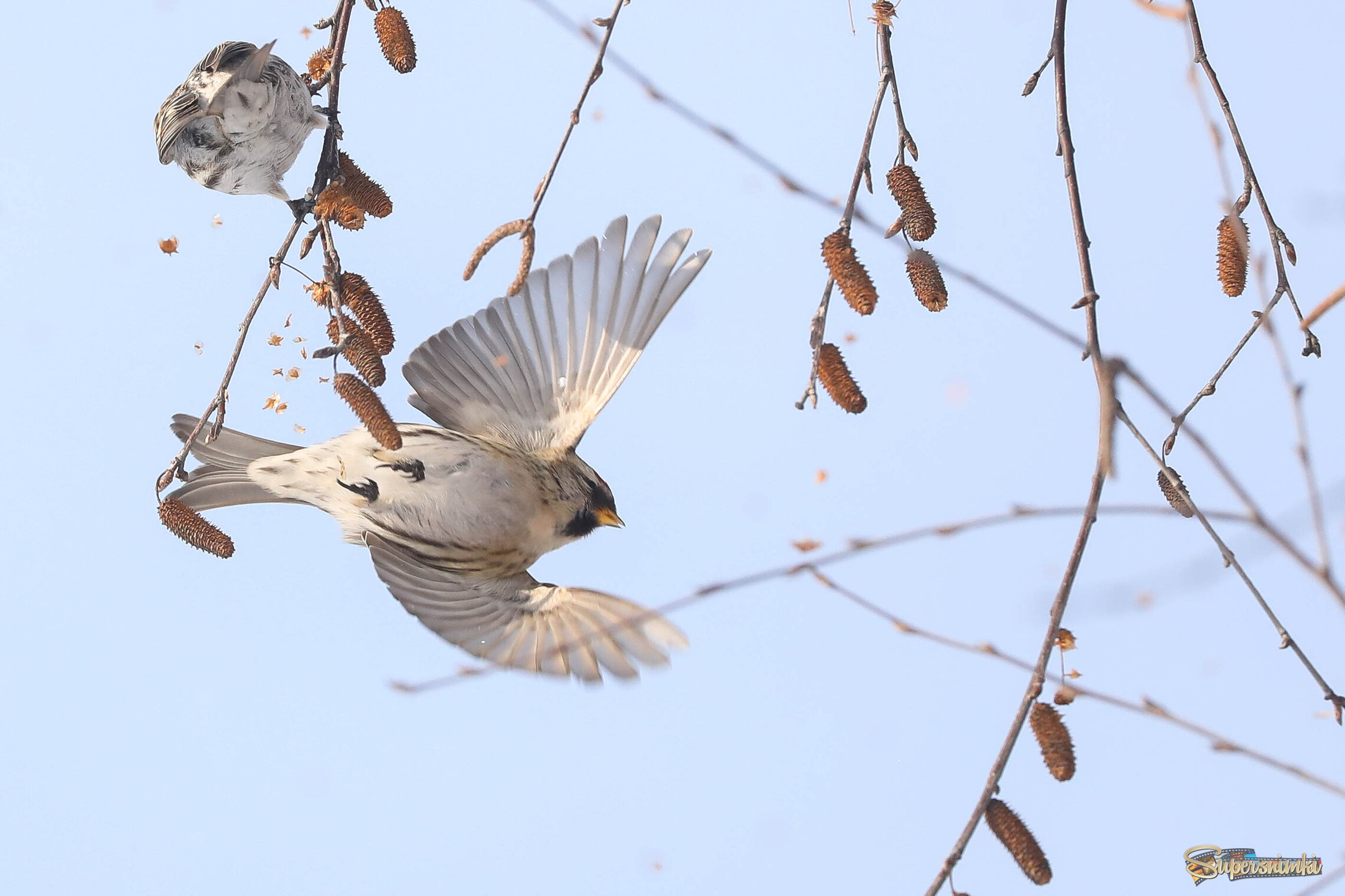 Там вкуснее!