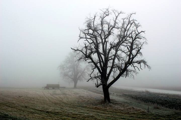 Морозный день 