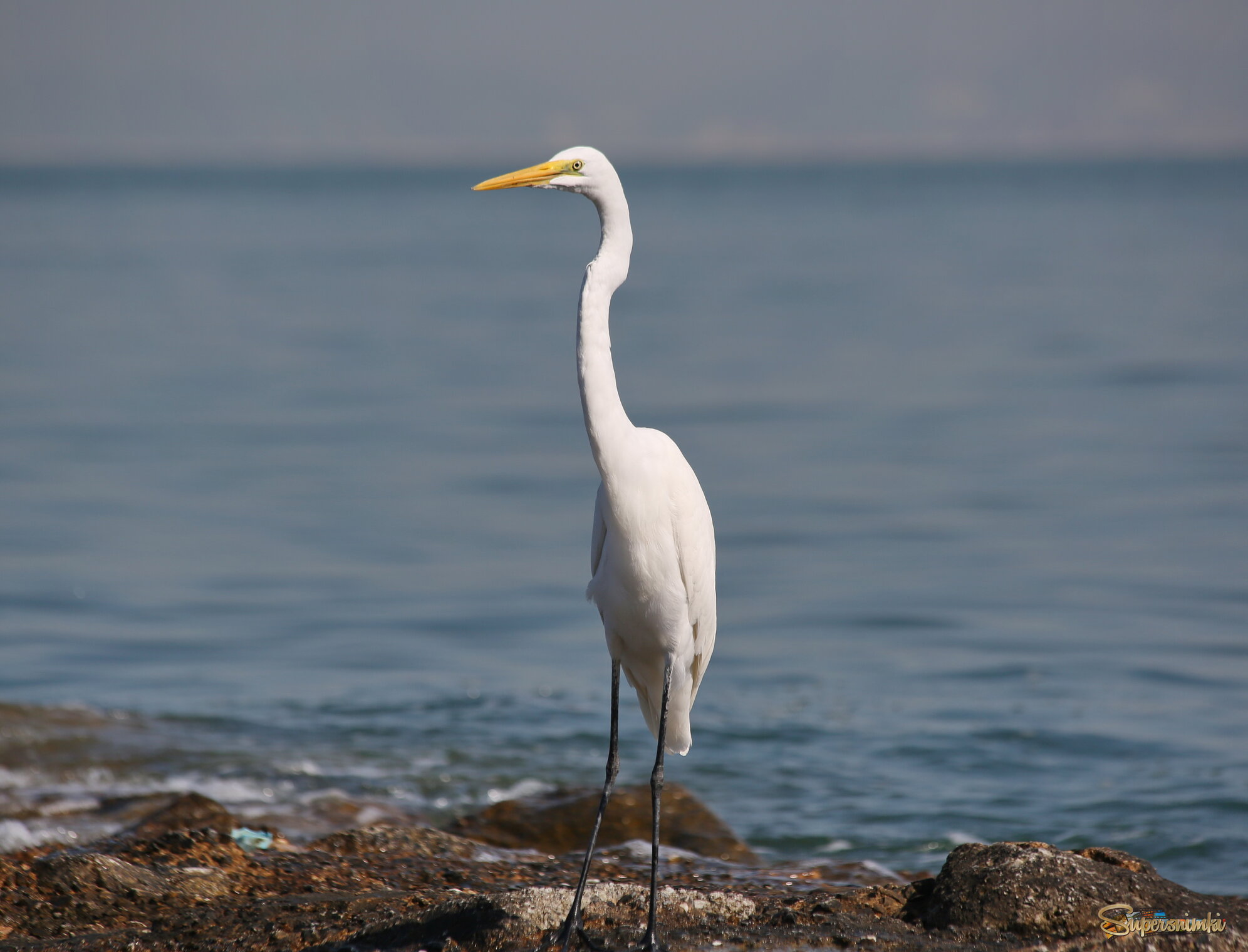 Утро на море