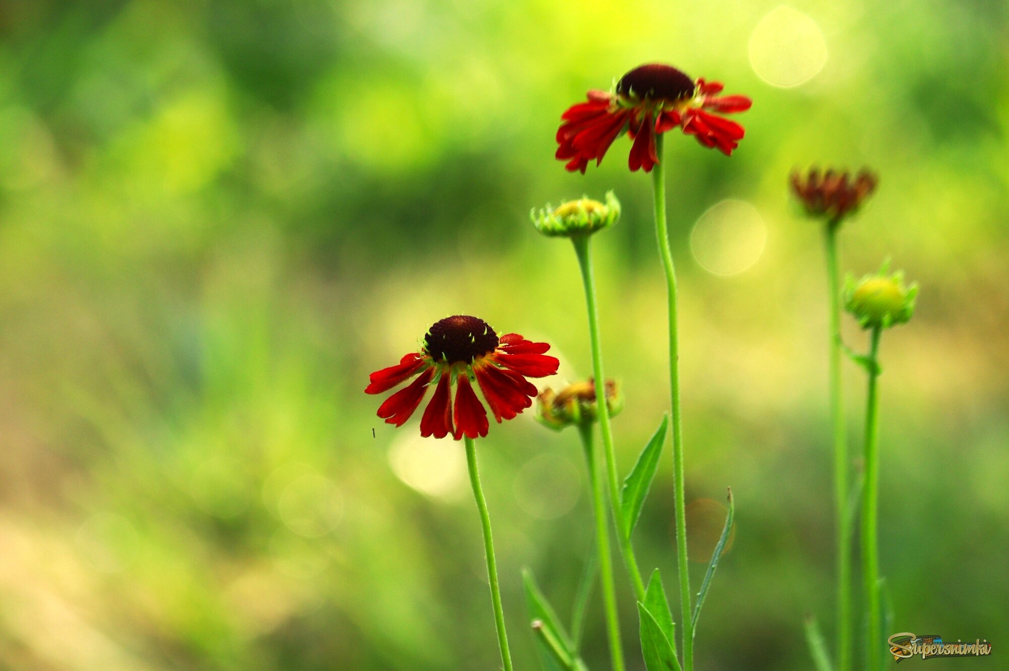 	 Доброе утро