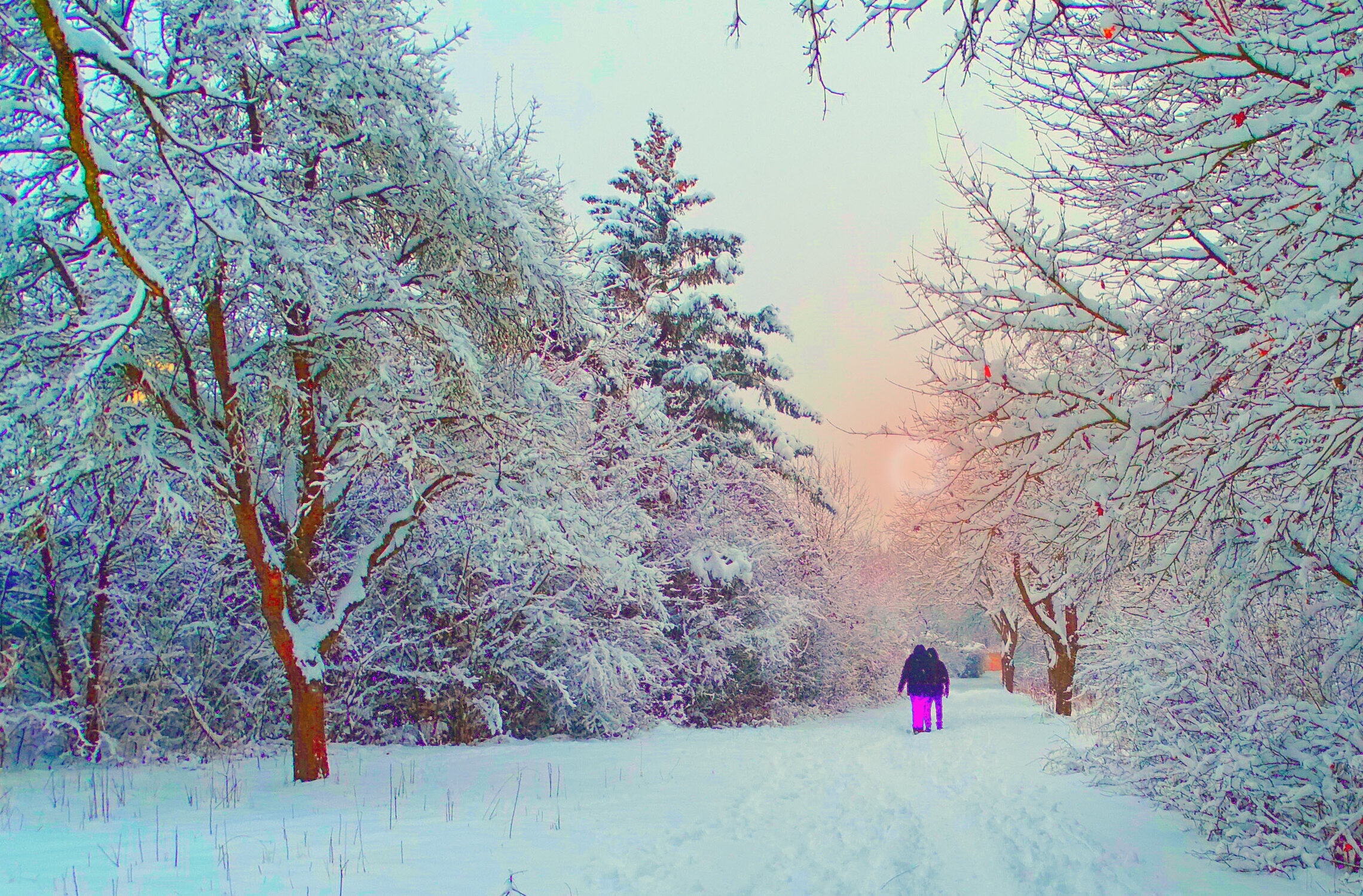 На прогулке.