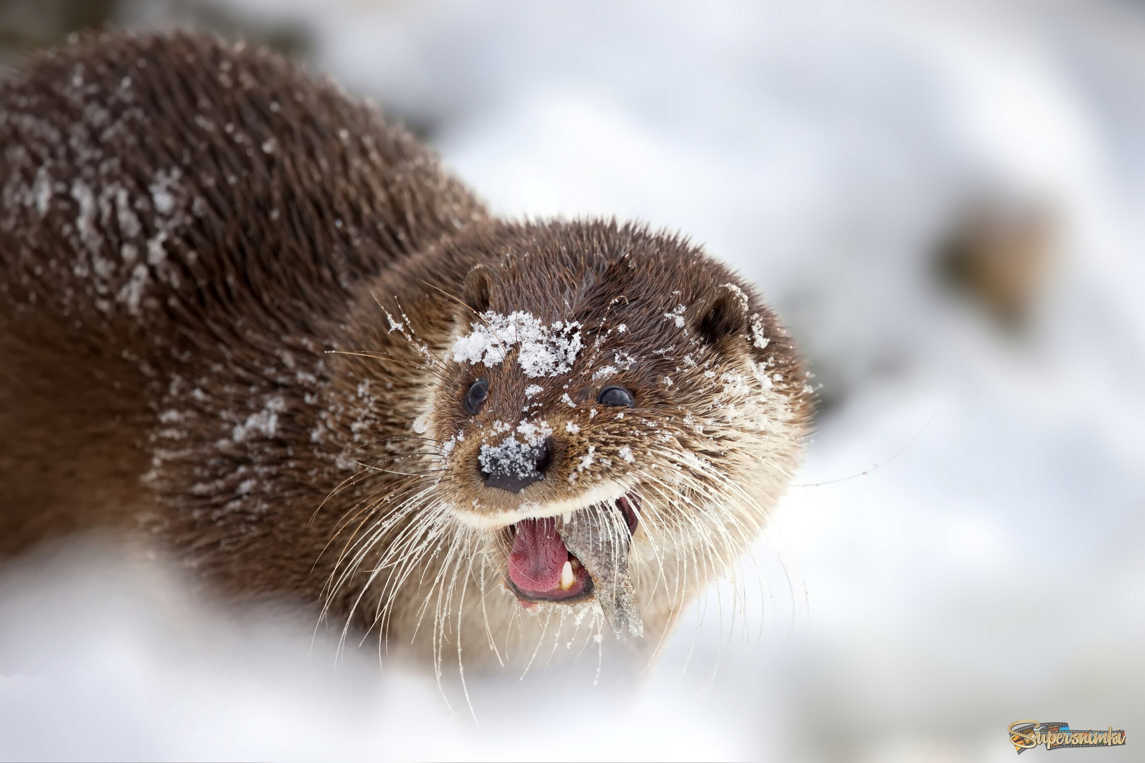 Жуть, как вкусно!