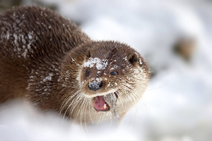 Жуть, как вкусно!