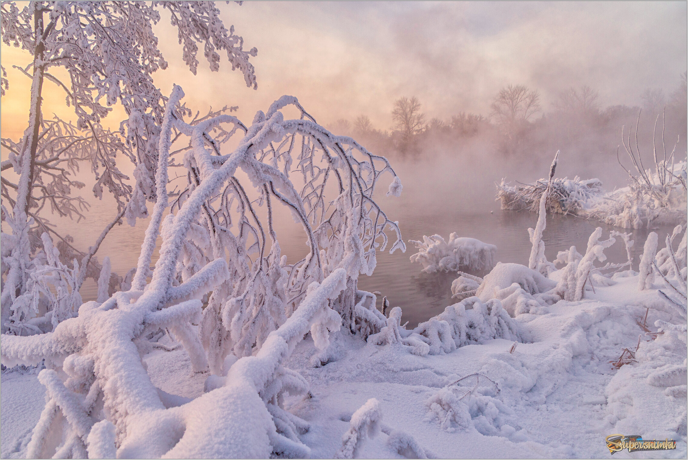 Морозным утром января...