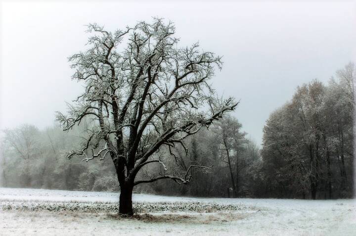 Надоело одиночество… Пробираюсь сквозь туман…