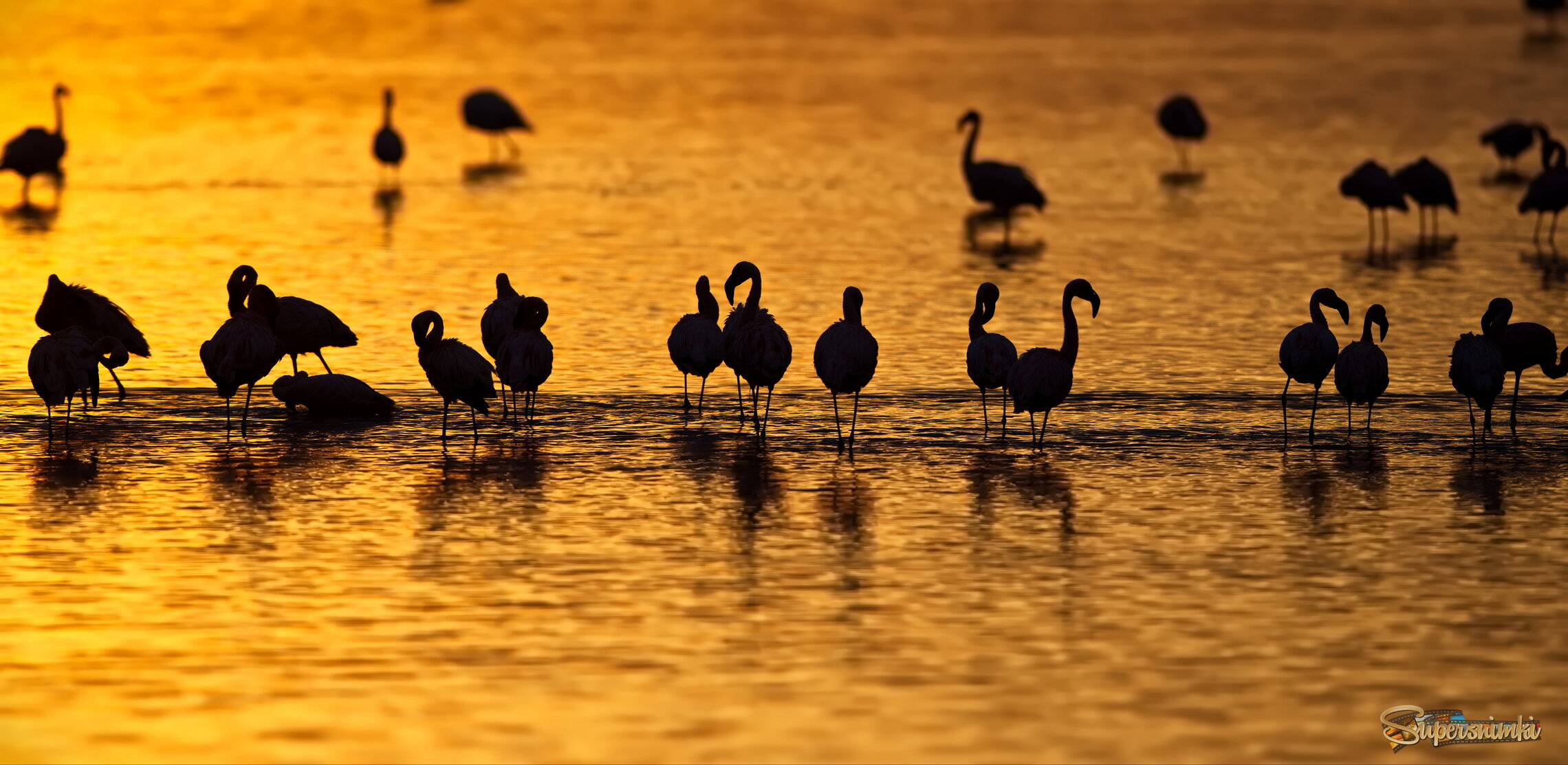 Золотой час