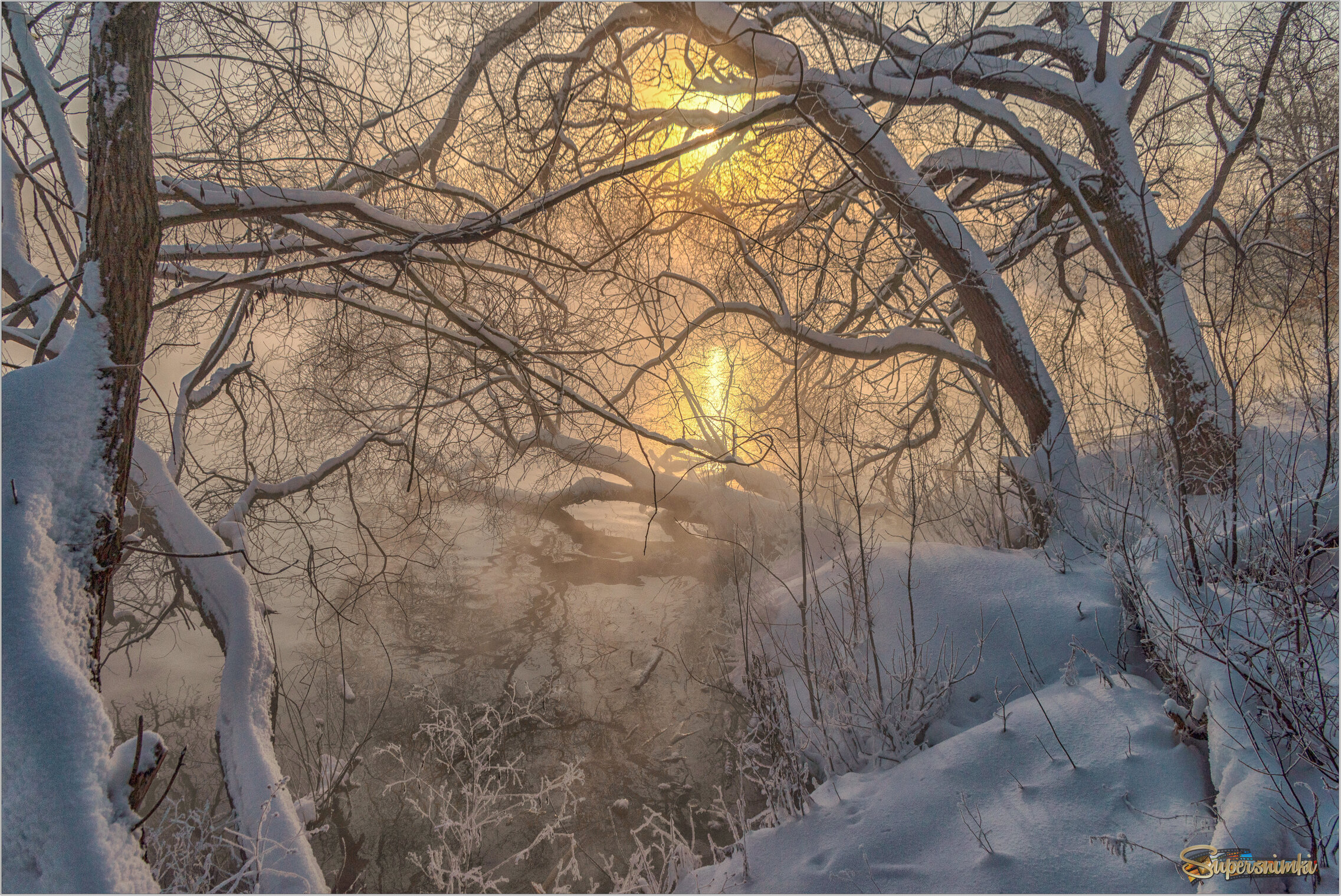 В царстве Деда Мороза...