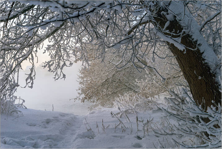 В царстве Деда Мороза...