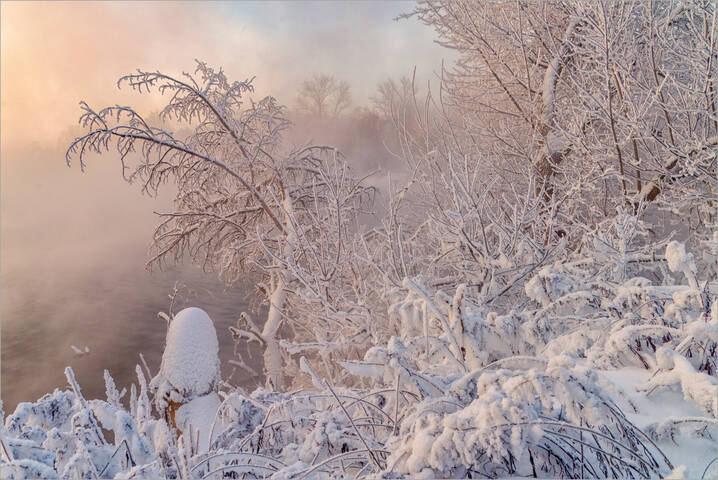 В царстве Деда Мороза...