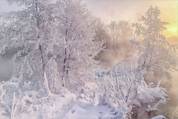 В царстве Деда Мороза...