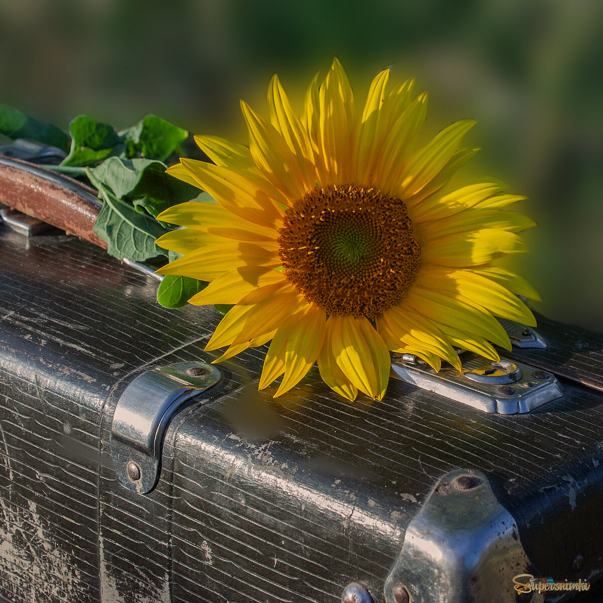 Путешествие света