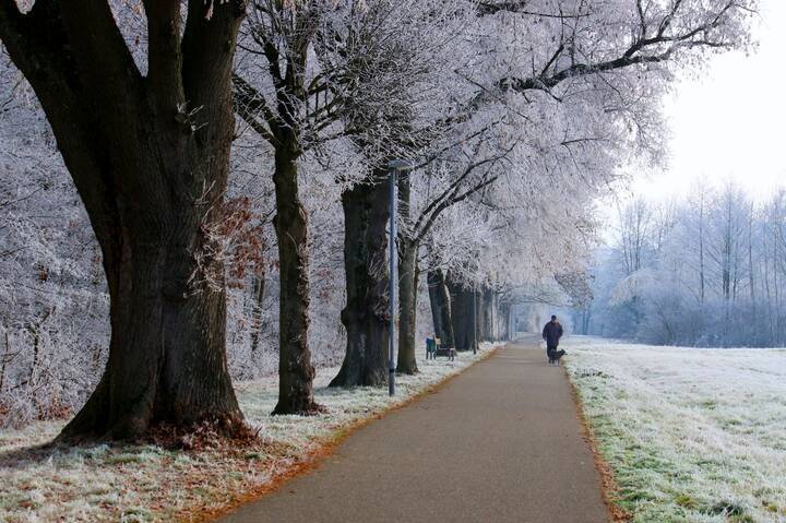 Морозный день