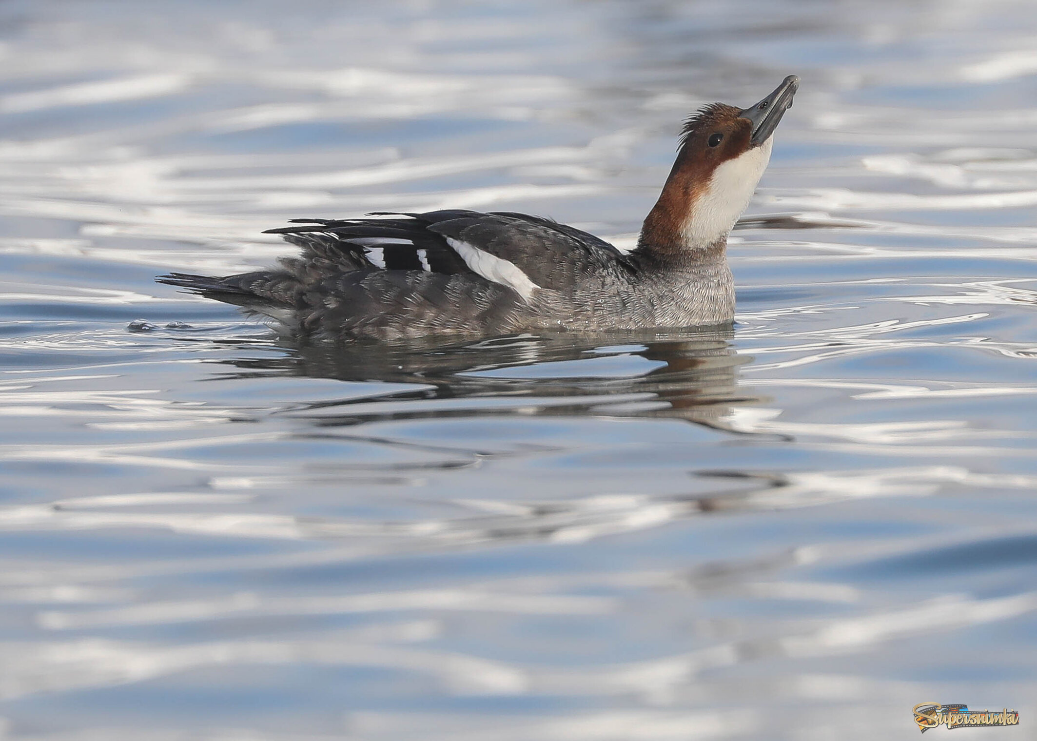 Кто это там в небе?