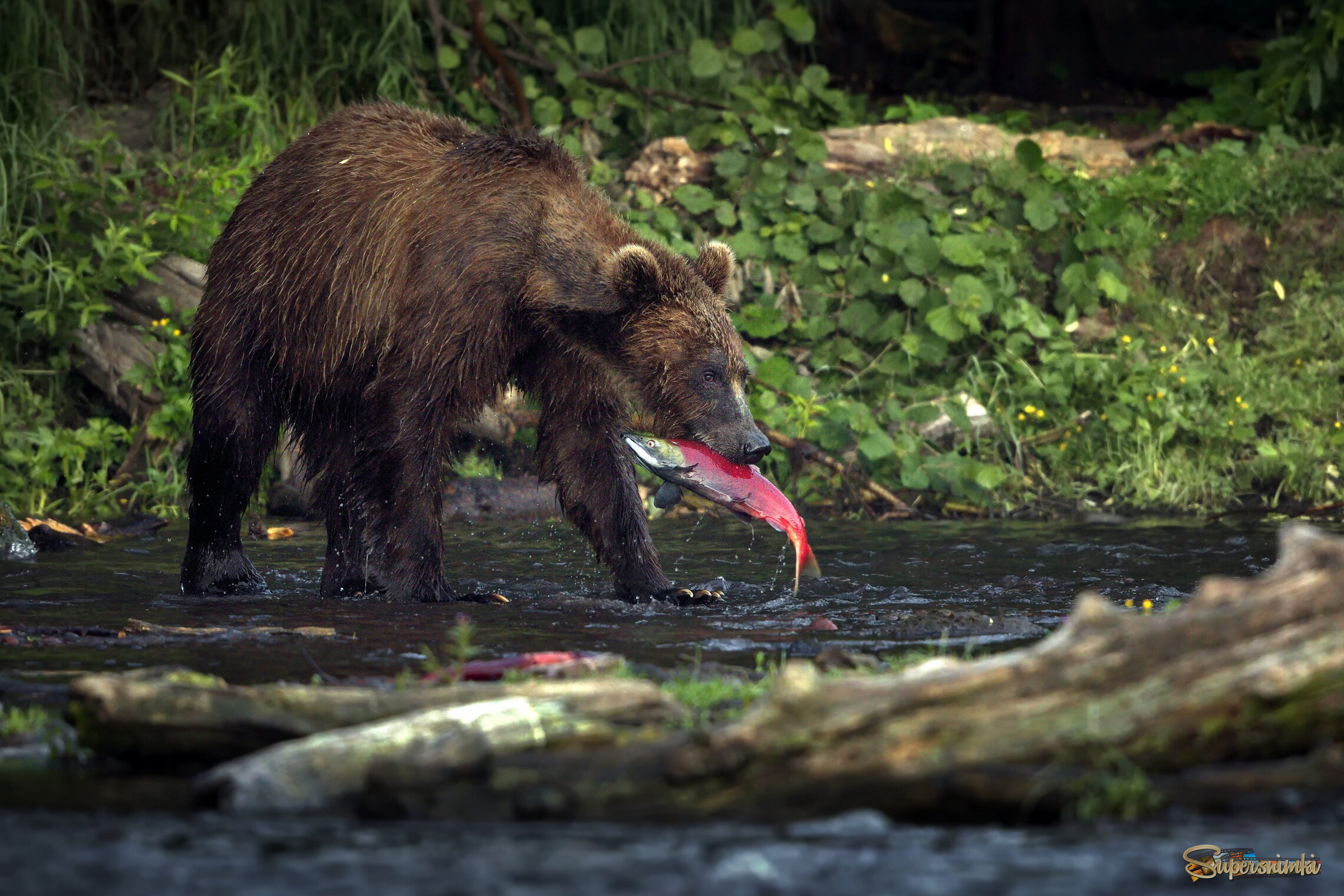 Ловись, рыбка, большая и маленькая!