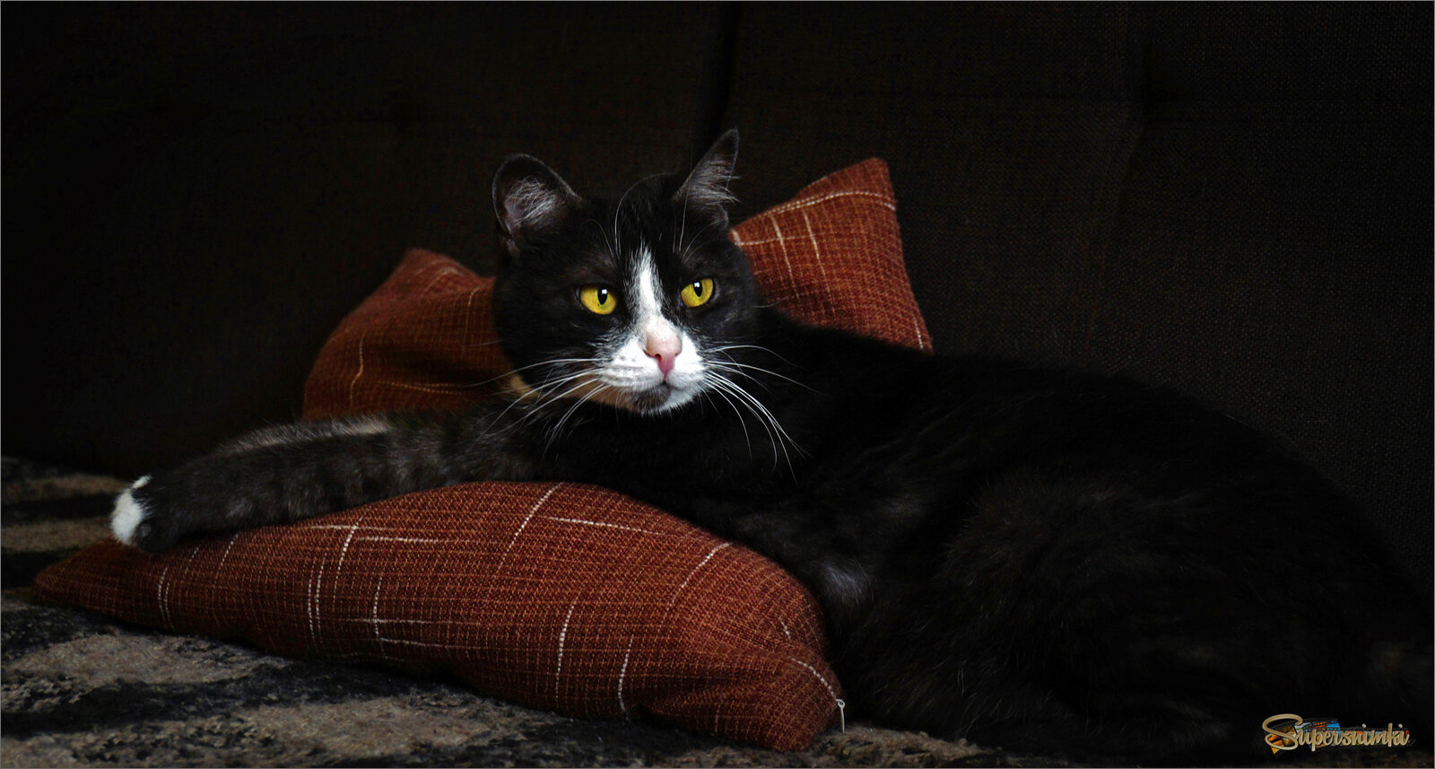 Отдыхать изволят