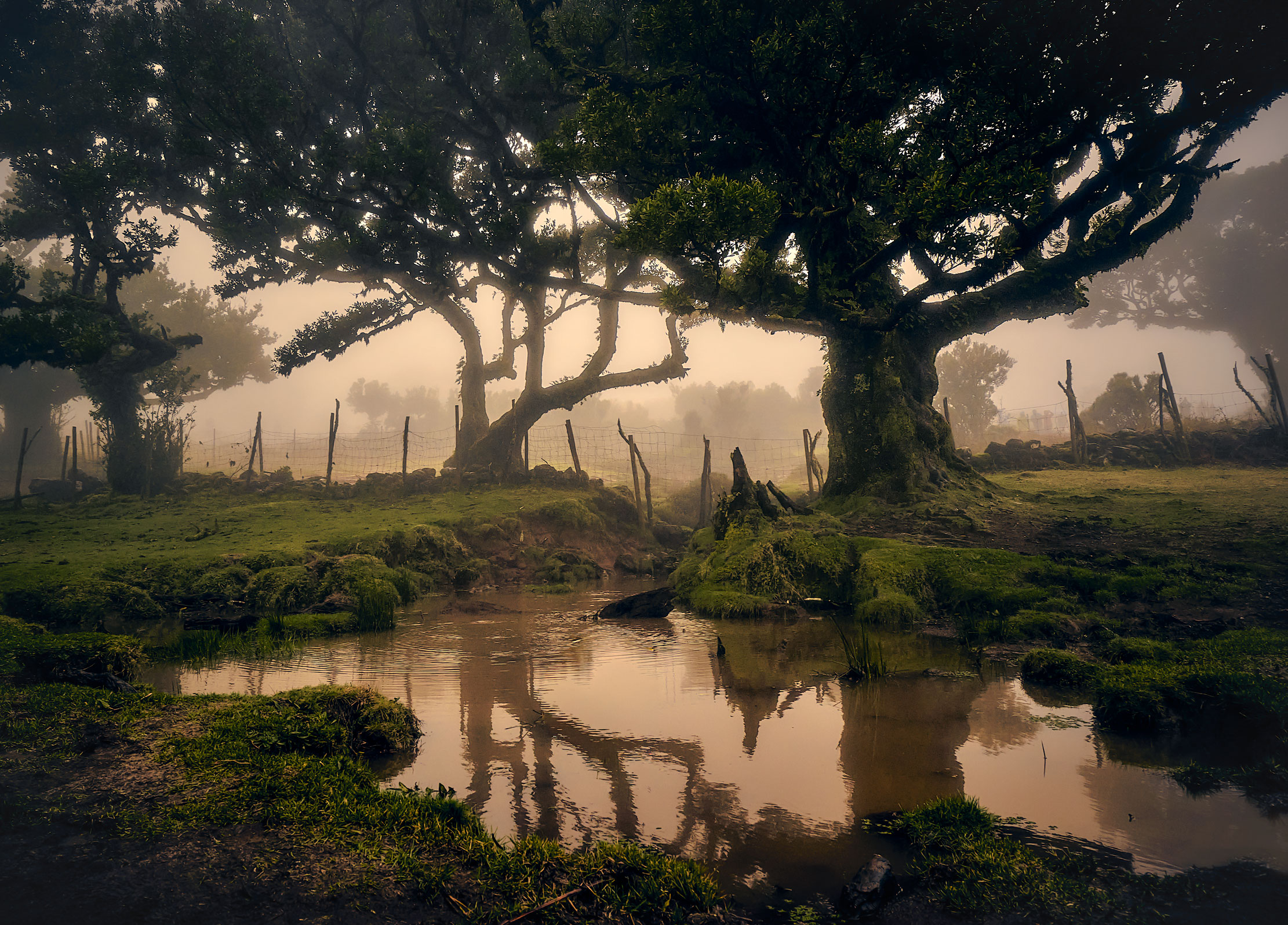 Волшебство Португалии...