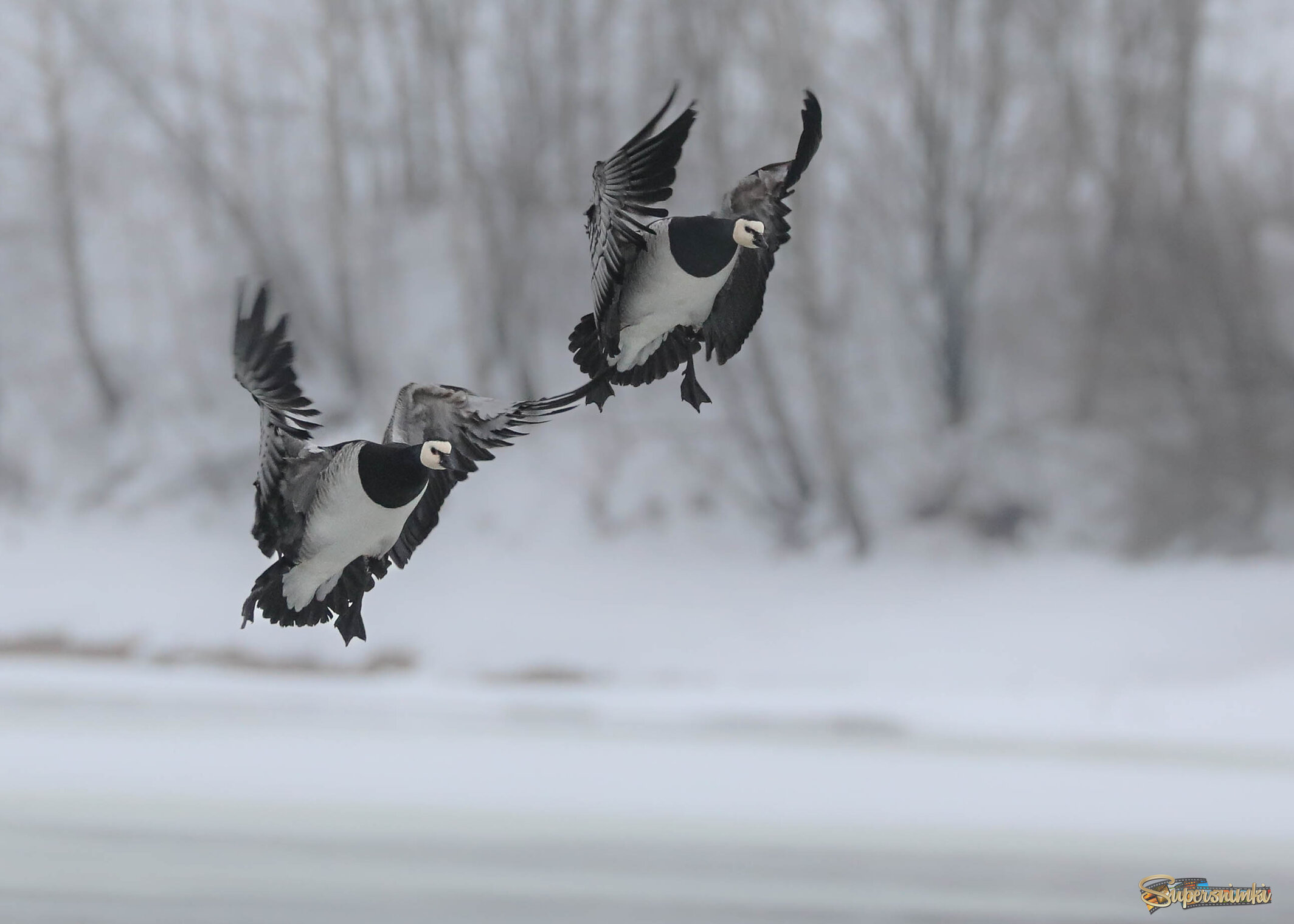 Приземление