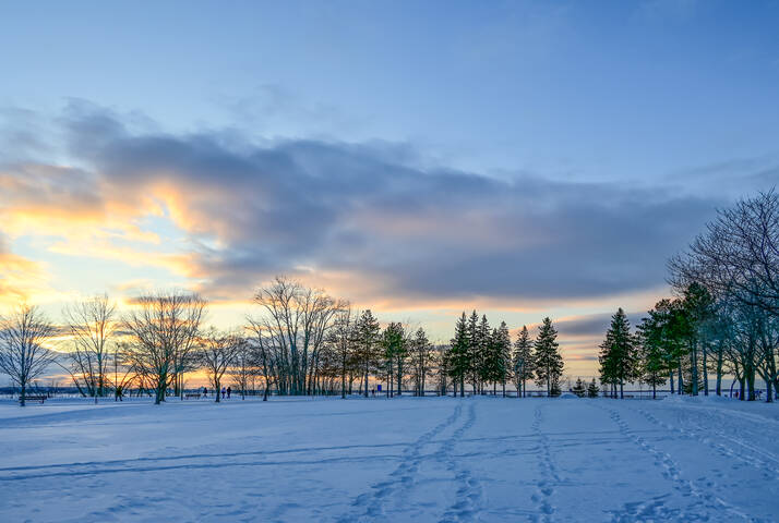 Прибрежное действо