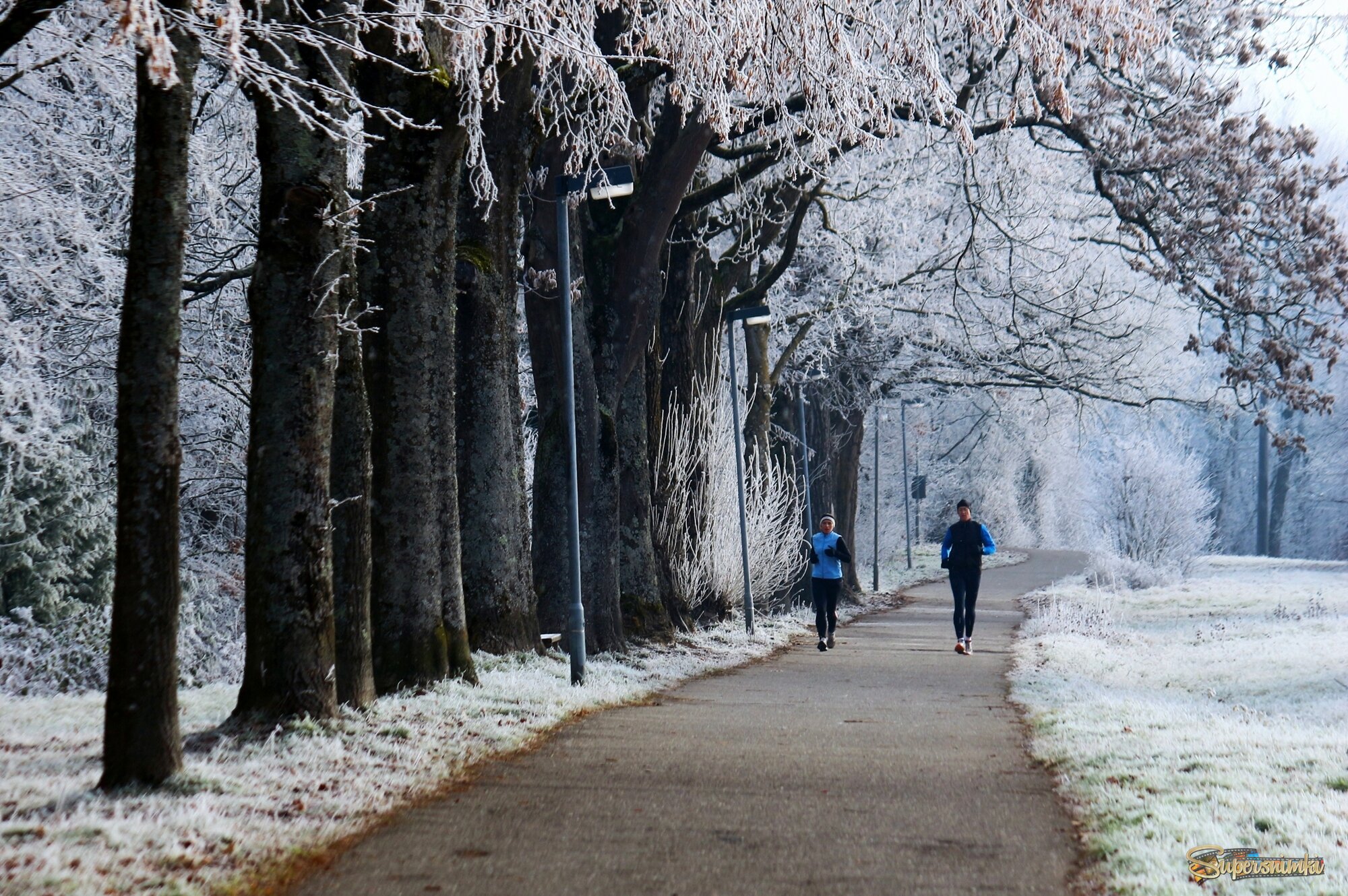 Утро начинается с пробежки