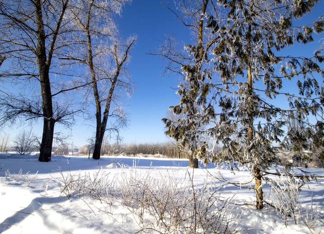 После снегопада.