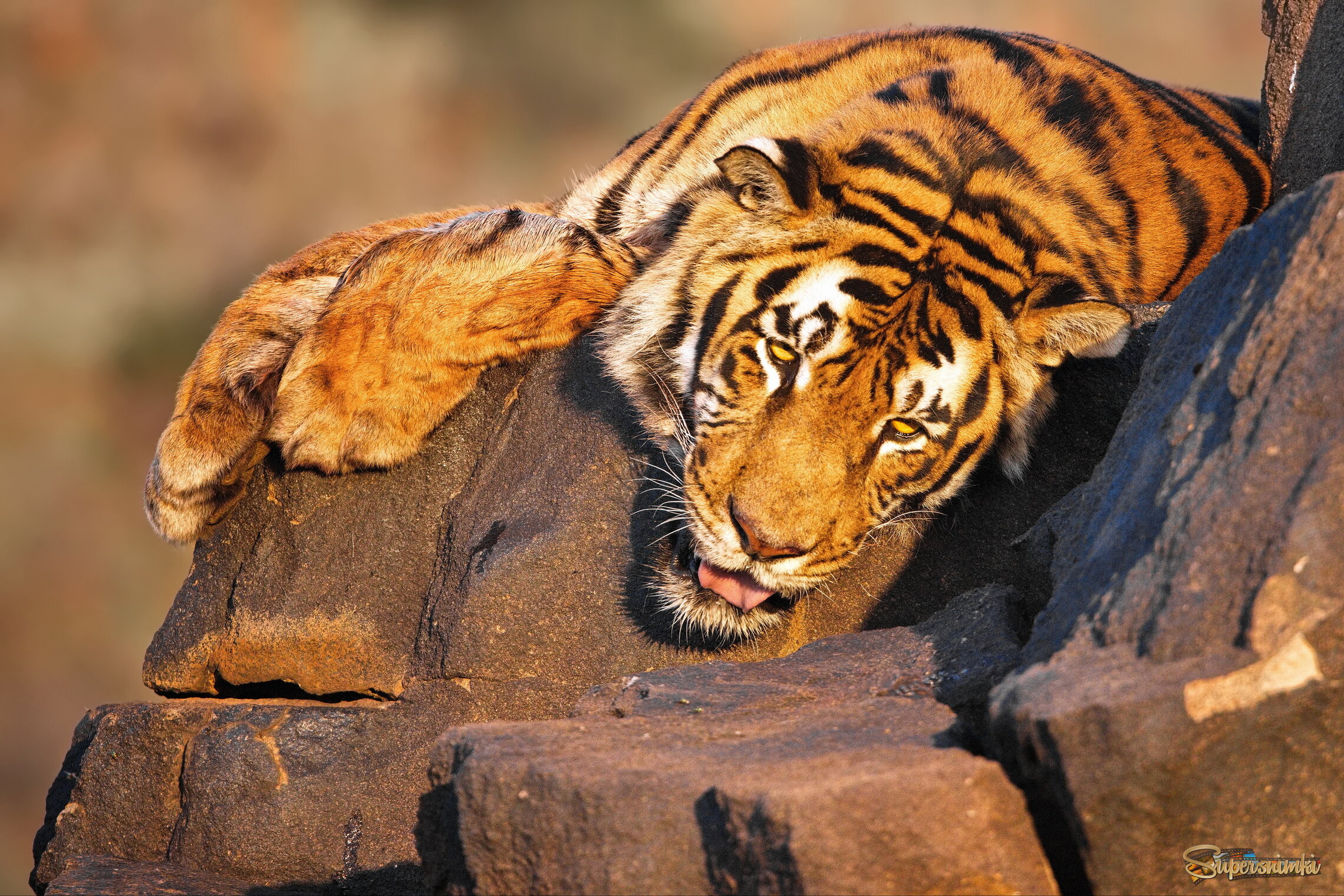 Утомленный