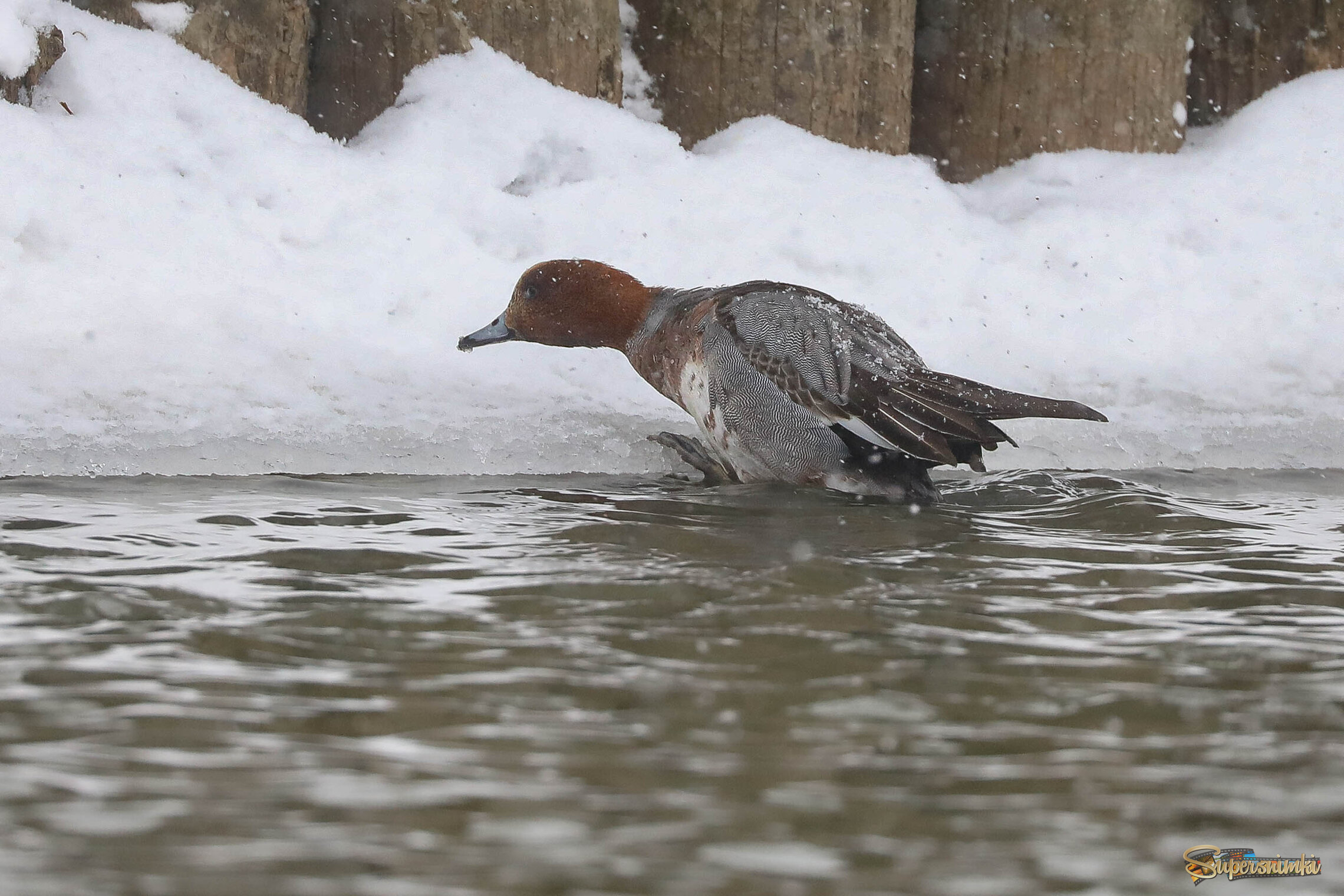 Скорее на берег!