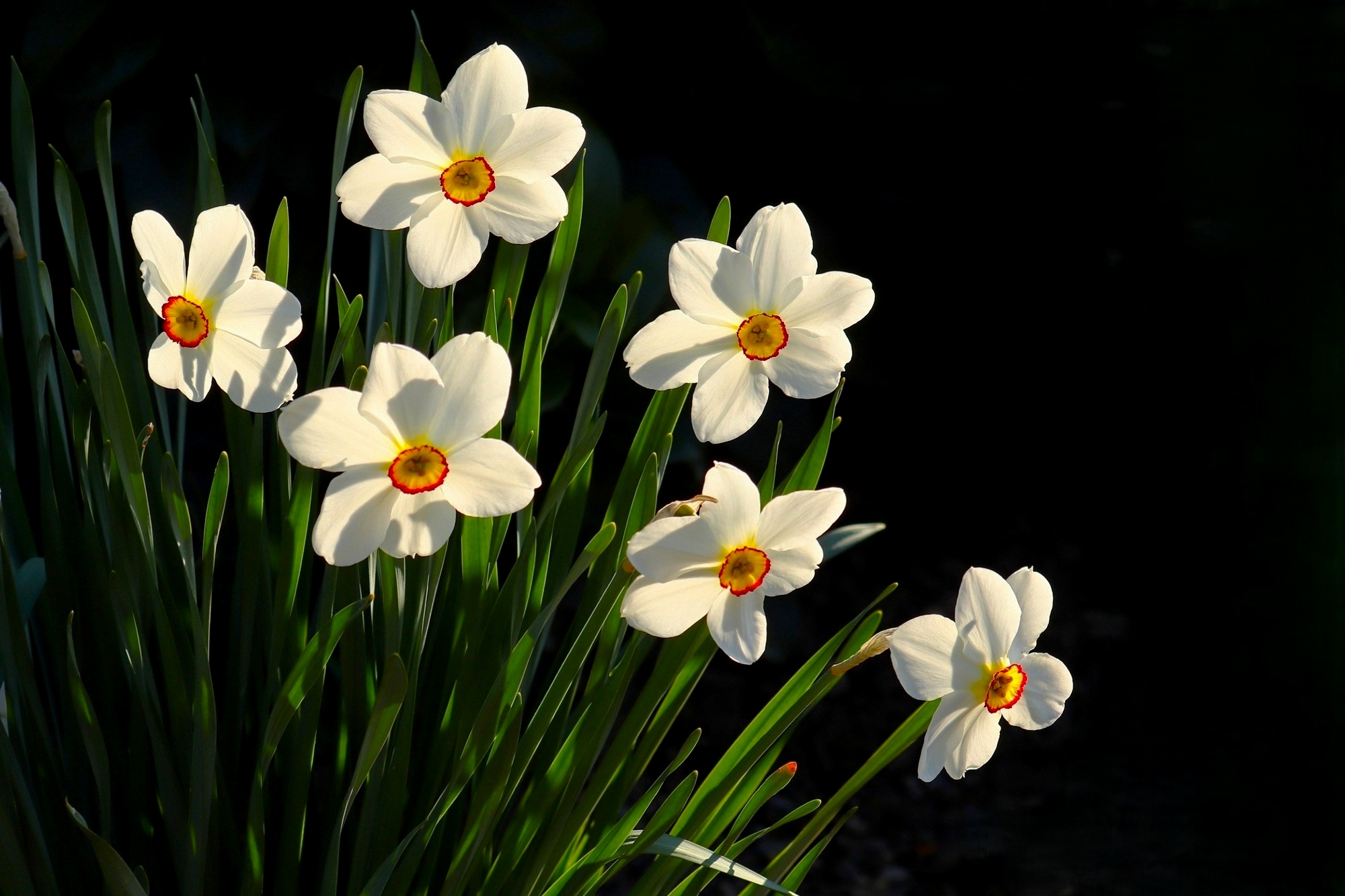 Доброе утро