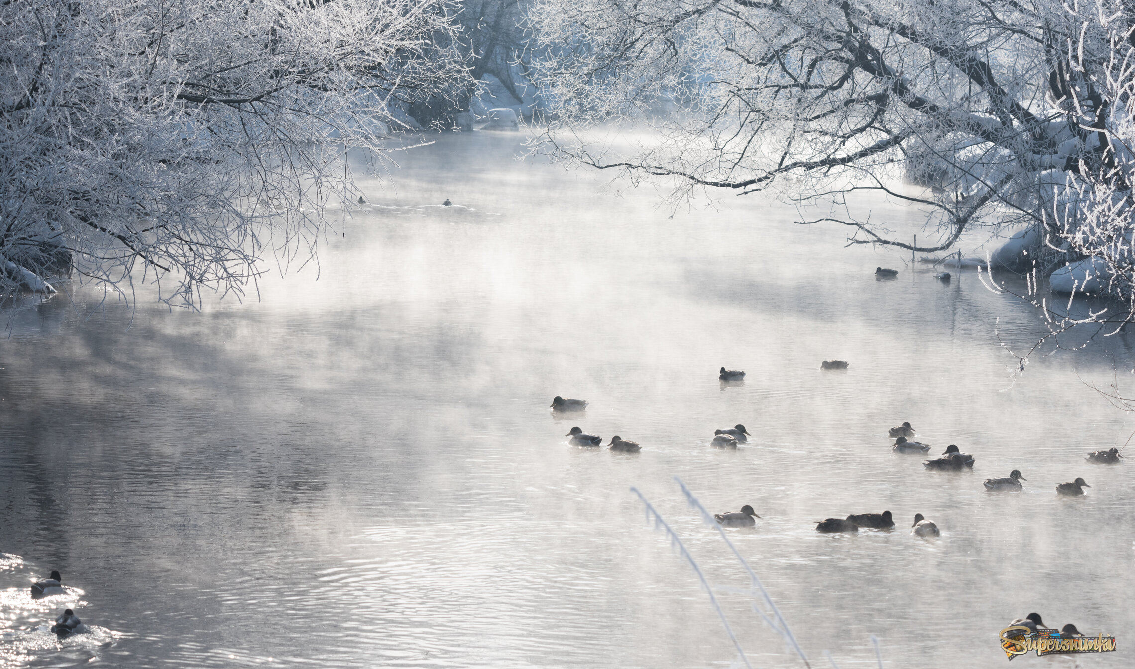 Зимовка на реке.